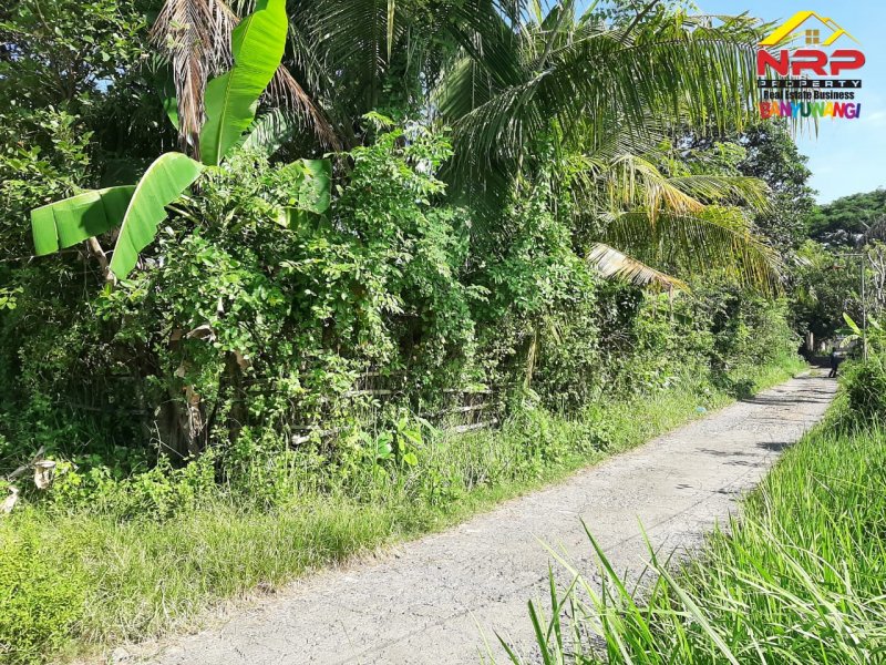 Dijual Tanah Kebun Prospek 20 Meter dari Jl. Lingkar Belakang SPBU Farley Ketapang Dijual Tanah Kebun Prospek 20 Meter dari Jl. Lingkar Belakang SPBU Farley Ketapang Dijual Tanah Kebun Prospek 20 Meter dari Jl. Lingkar Belakang SPBU Farley Ketapang
100 Meter dari JL. Utama Ketapang
Terletak di area Bisnis Aktif Pelabuhan NRP BANYUWANGI