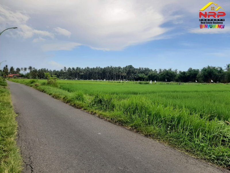 Dijual Tanah Sawah Strategis Kawasan Perumahan di Tepi Jl. Sobo - Banyuwangi Dijual Tanah Sawah Strategis Kawasan Perumahan di Tepi Jl. Sobo - Banyuwangi Dijual Tanah Sawah Strategis Kawasan Perumahan di Tepi Jl. Sobo - Banyuwangi
Sangat Cocok untuk Investasi Pertanian, Gudang dan Perumahan
Luas Tanah : NRP BANYUWANGI